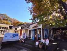 那須ブラウンチーズ牧場store