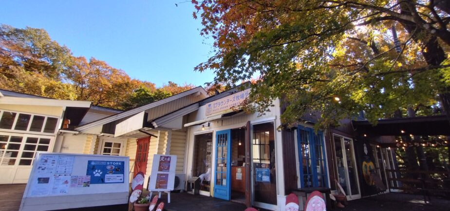 那須ブラウンチーズ牧場store